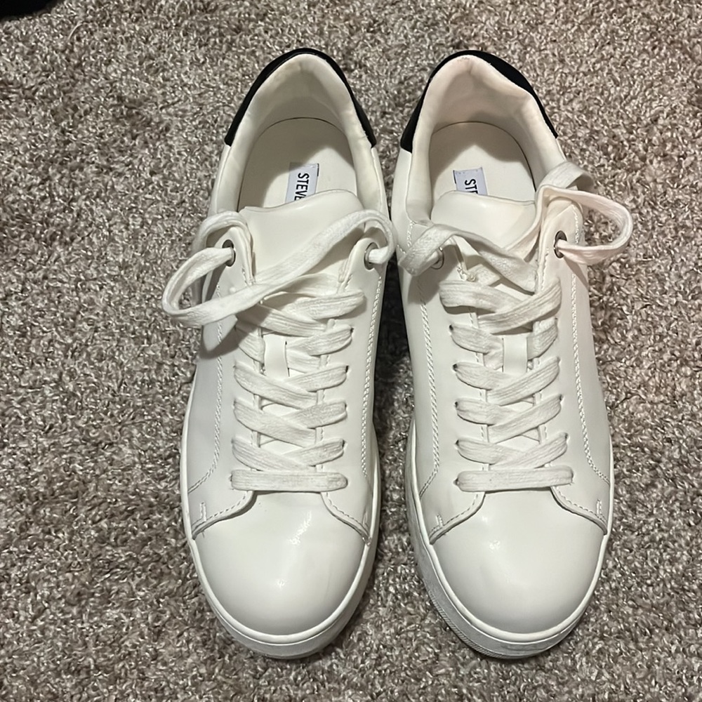 Steve Madden rockaway sneakers